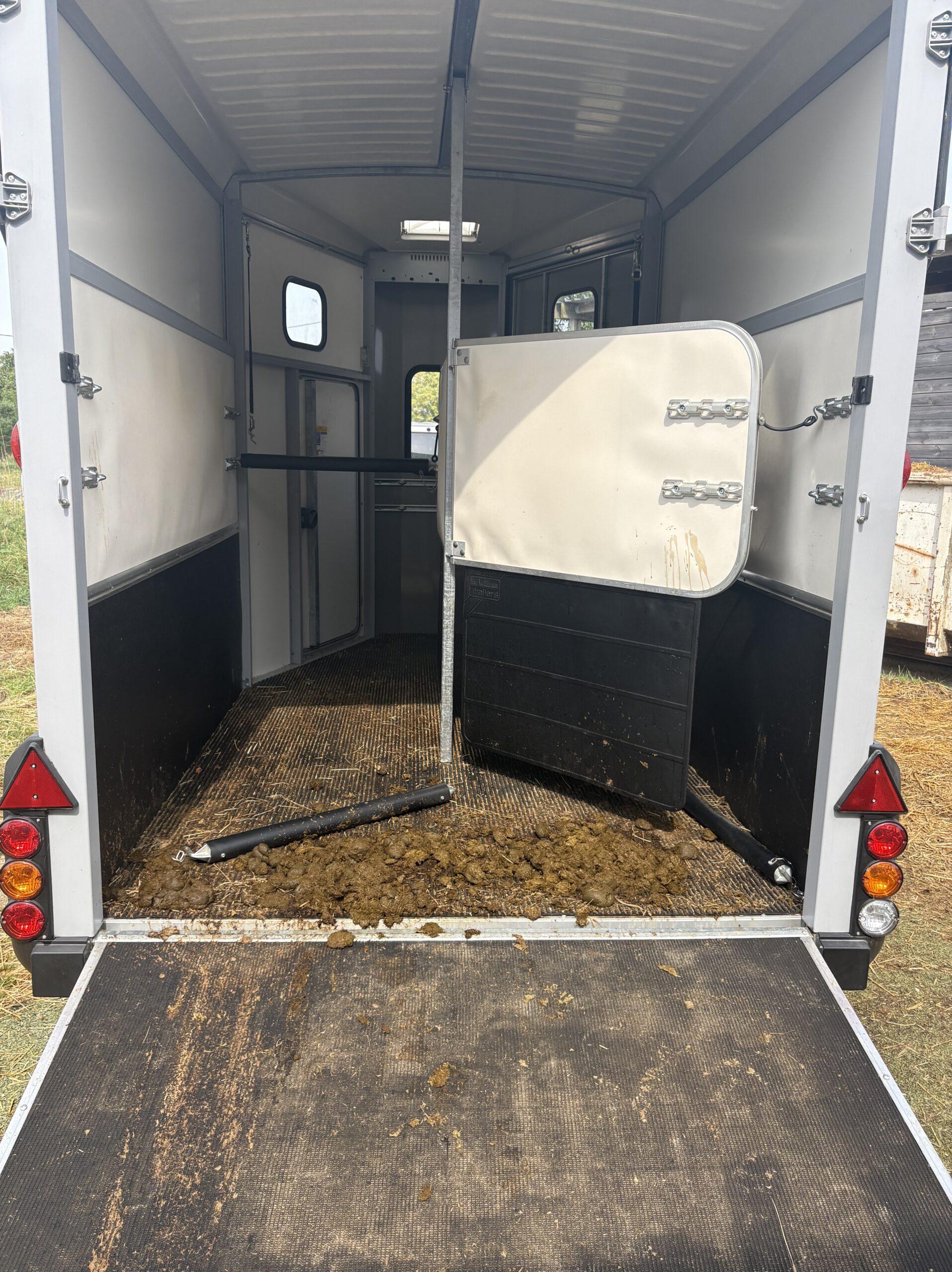 AVANT nettoyage van à chevaux Zandoli