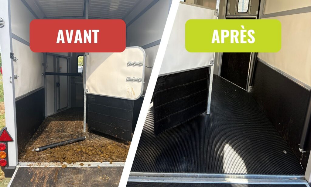Avant après nettoyage van cheval Zandoli