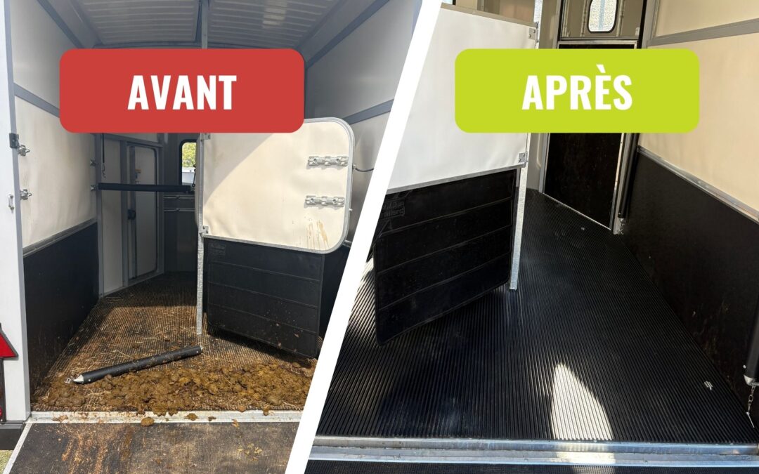 Zandoli sublime un van à chevaux grâce à son nettoyage professionnel